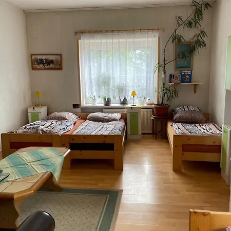 게스트하우스 Hostinec- U Havlu *